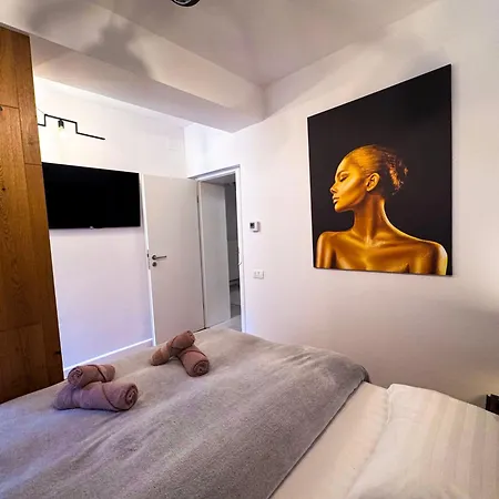 Apartment Luxury C Brasov